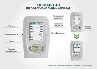 СКЭНАР-1-НТ (исполнение 01)  в Барнауле купить Медицинский интернет магазин - denaskardio.ru 